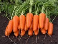 �������: ������������ ����� � ��������� ����� �� ���������� � �������� ����� �������� ������ ��� � ������� ���� � ������ ��� �����? ������� ����������� �������