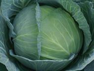 �������: ���������, �������, ������ � ������� ����� � ������ ����� �������� ������ ��� � ������� ���� � ������ ��� �����? ������� ����������� ���������� ����, 