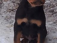 ����� ���������� � ������� �������� ����� ���������� � ����������� ������� 3 ������. �������, �� ������� ��� ��� ������, �����, ����� �����, ��� ����, ��������� - ������� �����,  ������