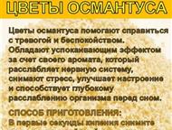 ������������: �������� ������������ ��� � ������ �� ������� �Tropical life-�������� �������.   ������ �� 2000 ���.   �������������� ������.   1. ��� ��������� �����