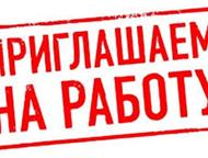 - ()   (  ),   ,  .      .  ,  - 