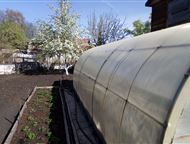 :             2-     .    ,  ,