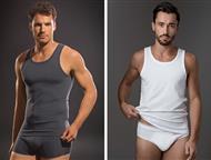 Lisca -     ,  Lisca -      ,       .  Lisca,  -  