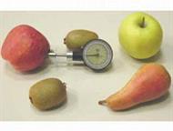 ������ TR Turoni, ��� ��������� ��������� ������, ������ ������ TR Turoni, ��� ��������� ��������� ������, ������  ������ ������������ ������ ��������, ������ - ������