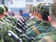              ,    .   +7 909 909 85-33,  -  