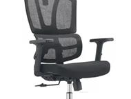 ������: ������� ������ SitUp: �������, ������� �������� �� ��� ����� ������ ��������� ���� ������������ ������� ��� ��������?  ���������� ���������� ������� 