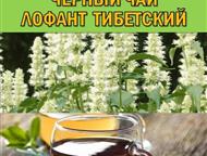 ������: ��������� � �������������� ������ ProGynuru � ���� ����������� �������� ��� �������� � ������� �Tropical life � �������� �������: ��������� �� �������