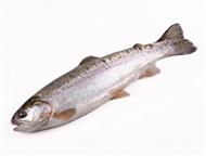 ������ ������ (�������� ����) �������� ������ � ���� �� ����� ���������� �������� ������������� ������������. Ÿ ���������� � ��� ���������� ������ � , ������ - ������