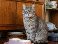 �������������� ����������� ������� ����� ��� �� ����� ����, ������ ��������� �� ��������� ����������.   ���� ������ �������� ����.   �� ��������, ����, ������ - ������� ����� � �����