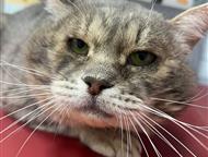 ������: �������������� ����������� ������� ����� ��� �� ����� ����, ������ ��������� �� ��������� ����������.   ���� ������ �������� ����.   �� ��������, ����