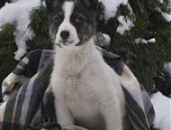 ������: ���� ������������� �������� ���� ���, #������ , ������ � ������� ������  �� �����-������� ����� �����, � ������ ��� �������� ���, �� �������� ����� ��