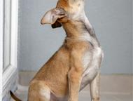 ������: ������� �������� ������ ���� ���, �� �������. ������ ������, ������� ����� ����� ���� �������.   ����� �������, �������, �������� � ���������� �������