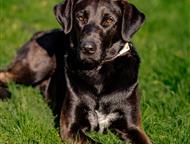 ������: �������� ������� ��������� ���� ���, ������ 1 ���. �������������, �������, ����������. ����� �� ���������� � �����, ��� ��� 2 ������, � �������� ��� �