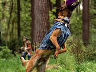 ������: ��������� ����� ���� ���, ���������� ������ 2 ����. ������, ������, �����������. ����� ������� �������, ������� � ������.   �������������� � ������� �