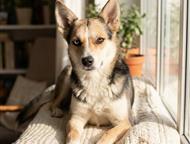 ������: ��� - ����������� ������� � ������� �� ������ ����� ������ � ��. ��� - ��� ����������� (���� ��������) ����� ����� � ������ � ���� �����. �� ����� ���