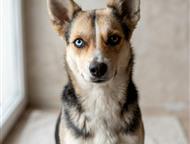 ��� - ����������� ������� � ������� �� ������ ����� ������ � ��. ��� - ��� ����������� (���� ��������) ����� ����� � ������ � ���� �����. �� ����� ���, ������ - ����� �����