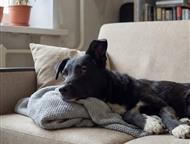 ������: �����, ��������� ������ ��� ��������! ������ � ��. ���� ������� - ��� ������, � ������� �����.   ��� �������. ��� �������������. ��� ���, � ��� ��� ��