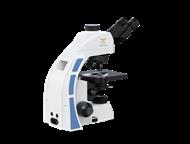 ������: ������������ ����������� ��������� CADUCEUS CELLS TMB ������������� ��������� CADUCEUS CELLS TMB ������� ������ �������, ������������� ���������, ����