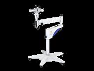 ���������� ����������� � ������������� CADUCEUS DETECTION SVL ���������� ����������� � ������������� CADUCEUS DETECTION SVL � ���������������� � �����, ������ - ����������� �������