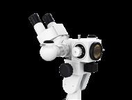 ������: ���������� ����������� � ������������� CADUCEUS DETECTION SVL ���������� ����������� � ������������� CADUCEUS DETECTION SVL � ���������������� � �����