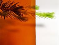 Ростов-На-Дону: Монолитный поликарбонат Размеры: 2. 05 х 3. 05  Толщина листов : 1, 2, 3, 4, 5, 6, 8, 10, 12 мм  Цвета: прозрачный, белый, коричневый, бронза светлая,