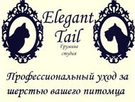    , - Elegant tail     ?    !     :   -    -,  -   